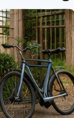Private bike rental